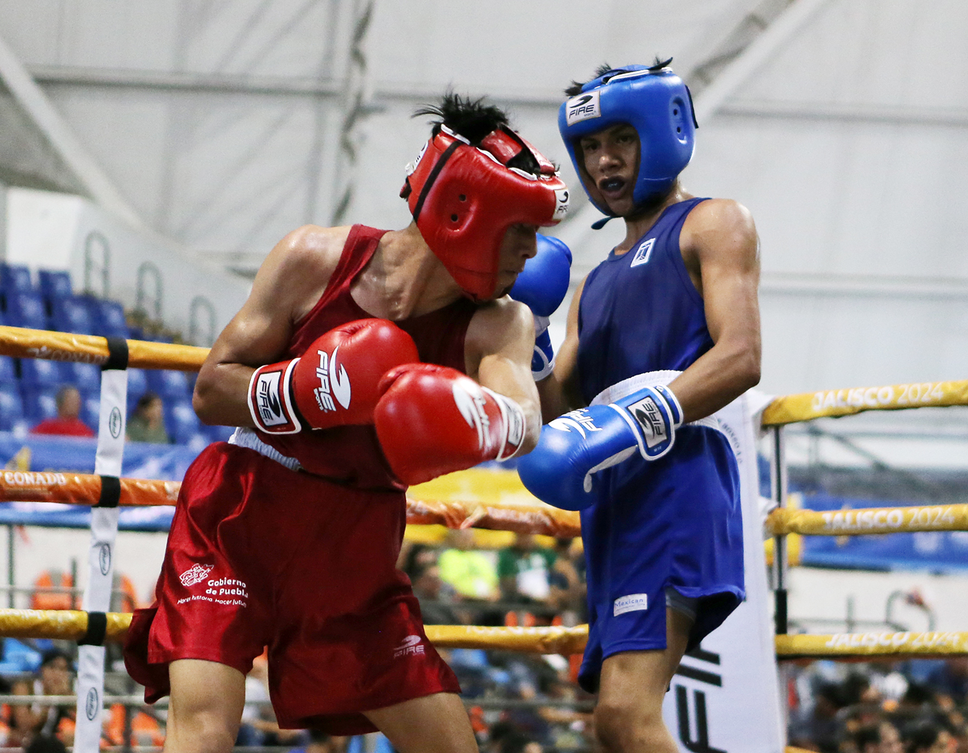 ONLY FIGHT